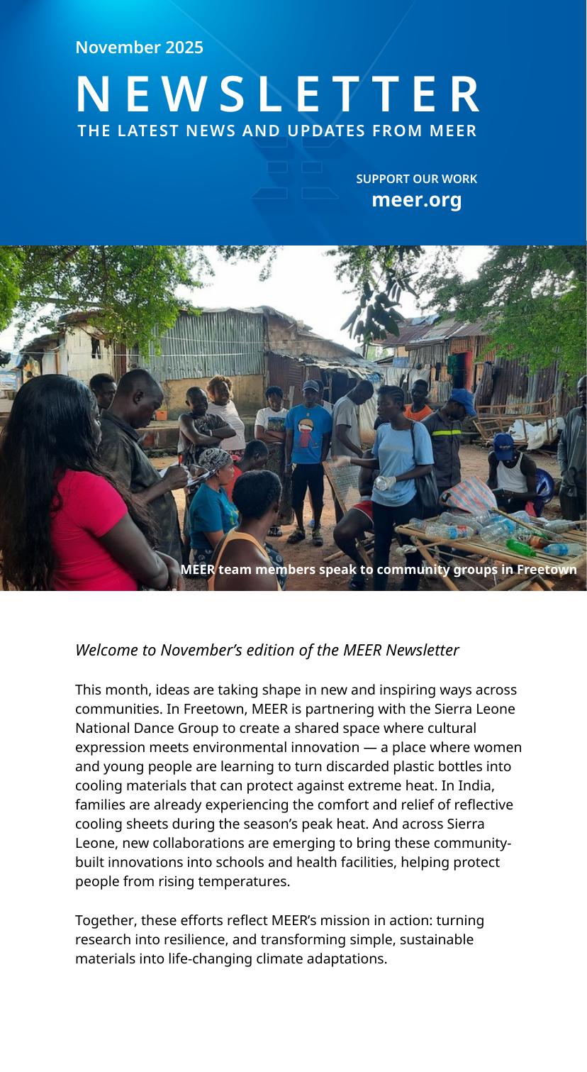 Newsletter November 2025