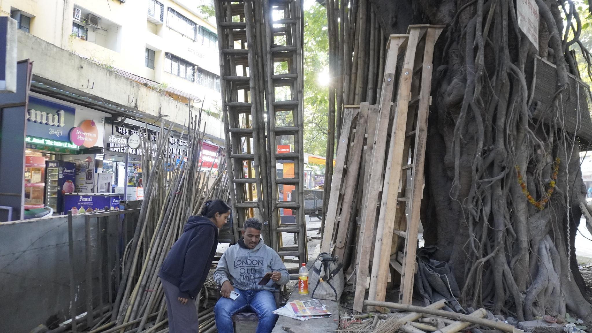 Exploring bamboo as a low-carbon construction material for passive cooling