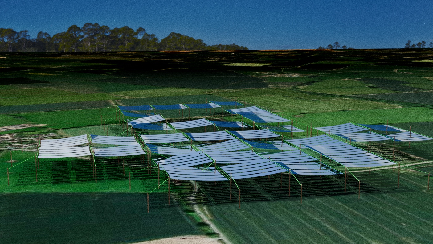 Agricultural canopy array