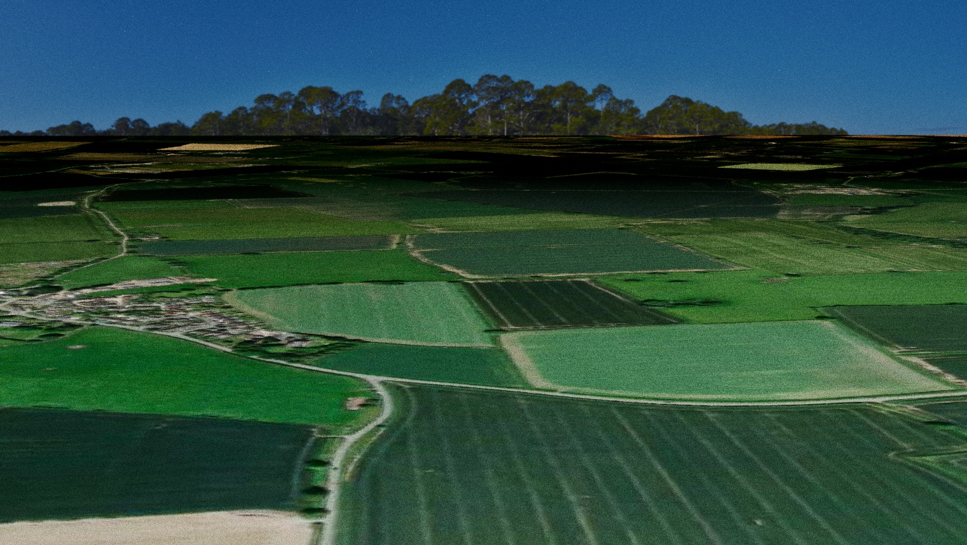 Farm fields from above
