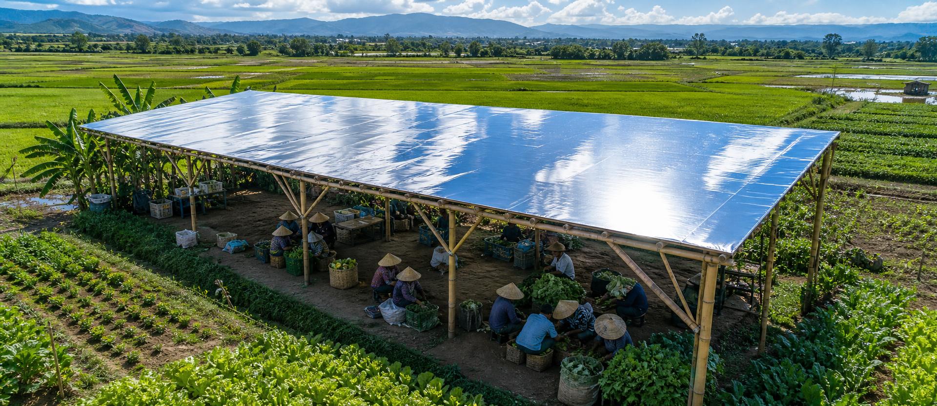 Conjunto de cubiertas reflectantes sobre una parcela agrícola de prueba.