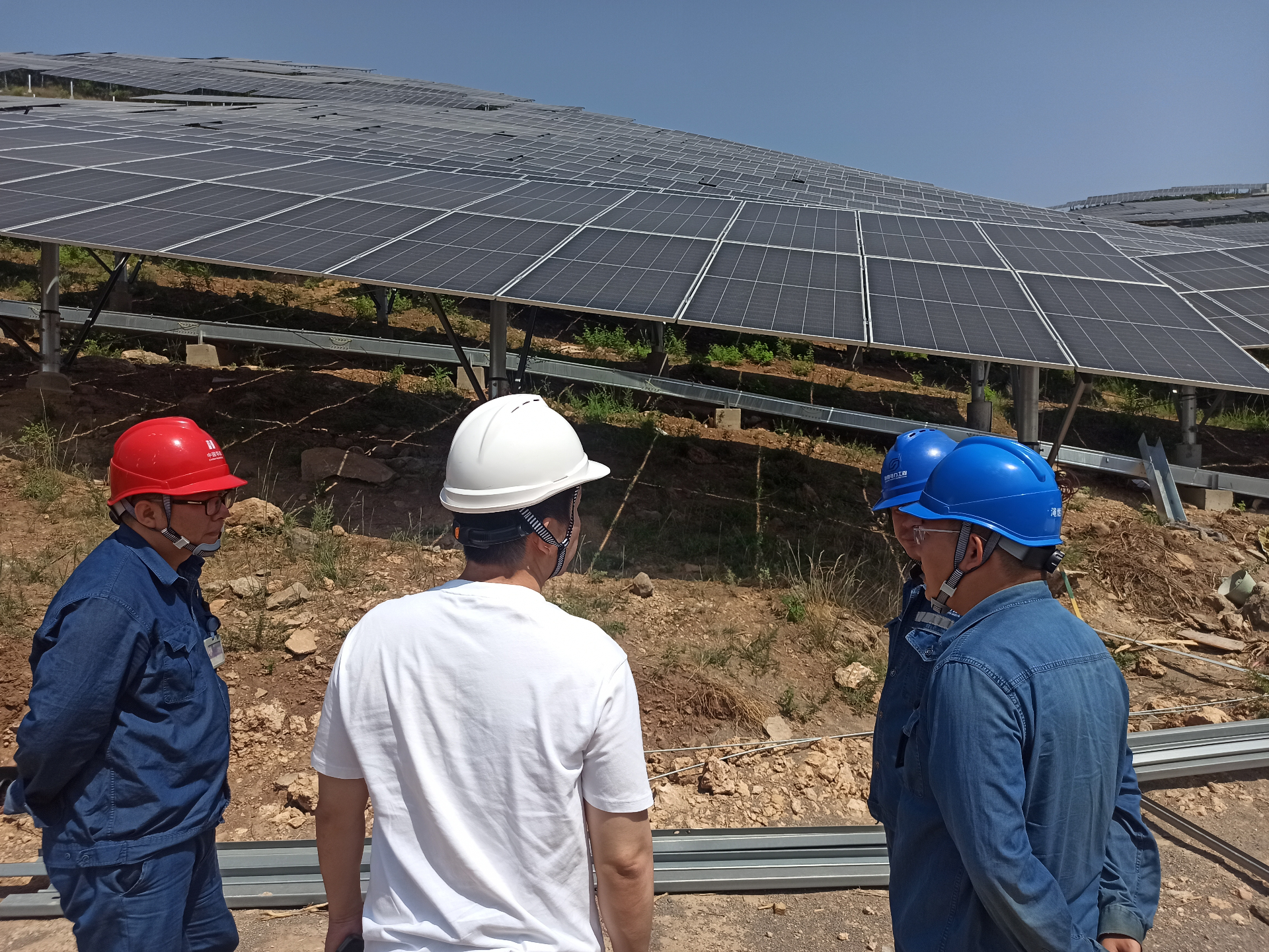 Researchers inspecting a large-scale panel installation in the field